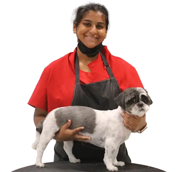 A recently groomed Zen Dog client 9