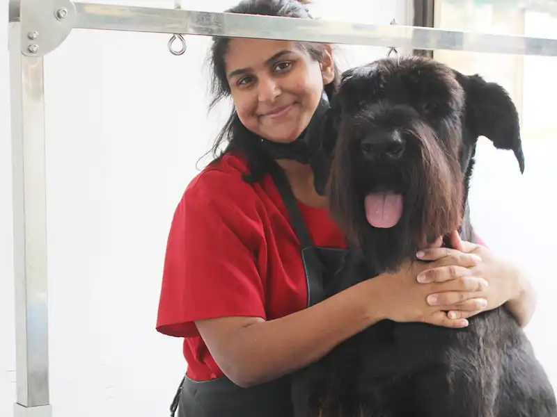 A recently groomed Zen Dog client 8